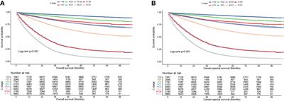 The value of carcinoembryonic antigen stage in staging, prognosis, and management of colorectal cancer: results from two cohort studies